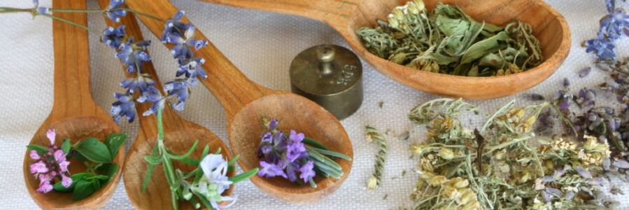 hiniusa nga herbal nga pagpangandam batok sa mga ulod