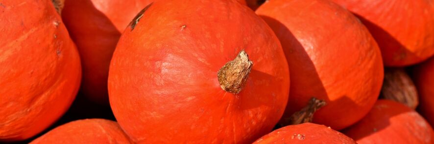 pumpkin batok sa mga ulod